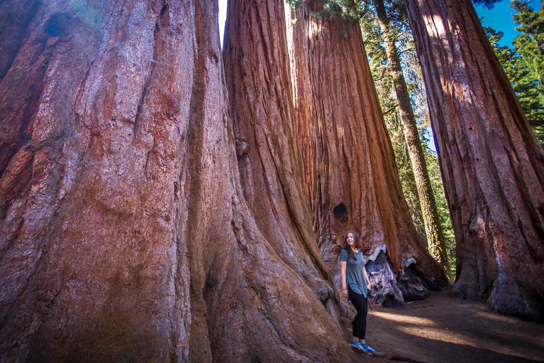 California National Parks Tour: Scenic Wonders - 7 Days